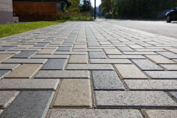 Best Driveway paver repairs and maintenance in Demopolis, AL